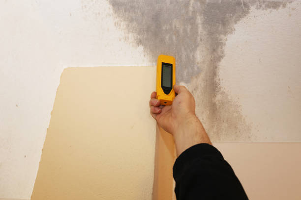 Best Industrial Mold Remediation  in Soh Jordan, UT