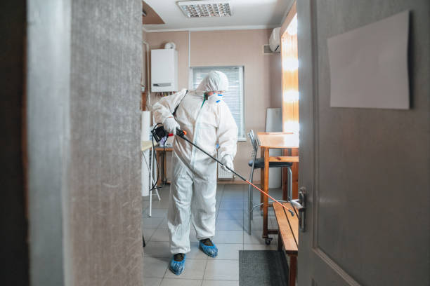 Best Crawl Space Mold Remediation  in Soh Jordan, UT