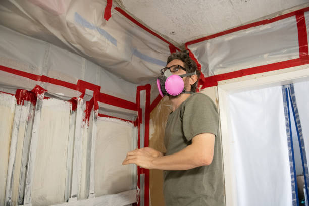 Best Attic Mold Removal  in Soh Jordan, UT