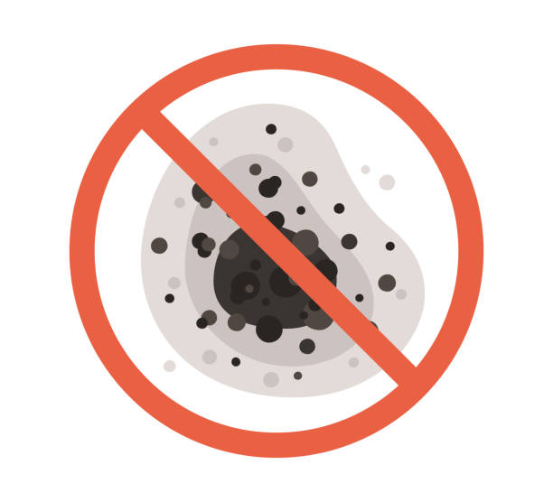 Best Dehumidification Services  in Soh Jordan, UT