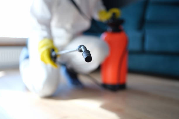 Best Environmental Consulting for Mold Prevention  in Soh Jordan, UT