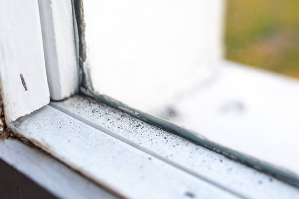 Best Mold Removal for HVAC Installations  in Soh Jordan, UT