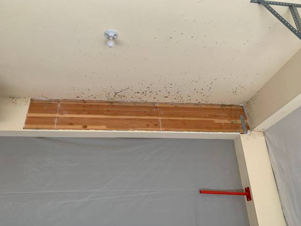 Best Indoor Air Quality Assessment  in Soh Jordan, UT