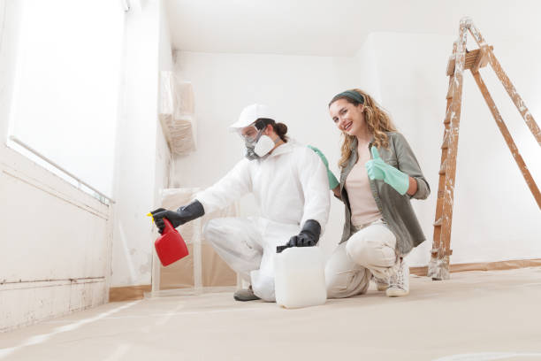 Best Emergency Mold Remediation  in Soh Jordan, UT